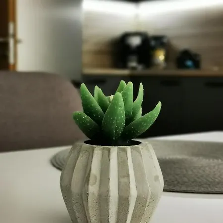 Mlýnská Strouha Apartamento